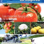 Agriculture du maghreb N° 80 Janvier 2014