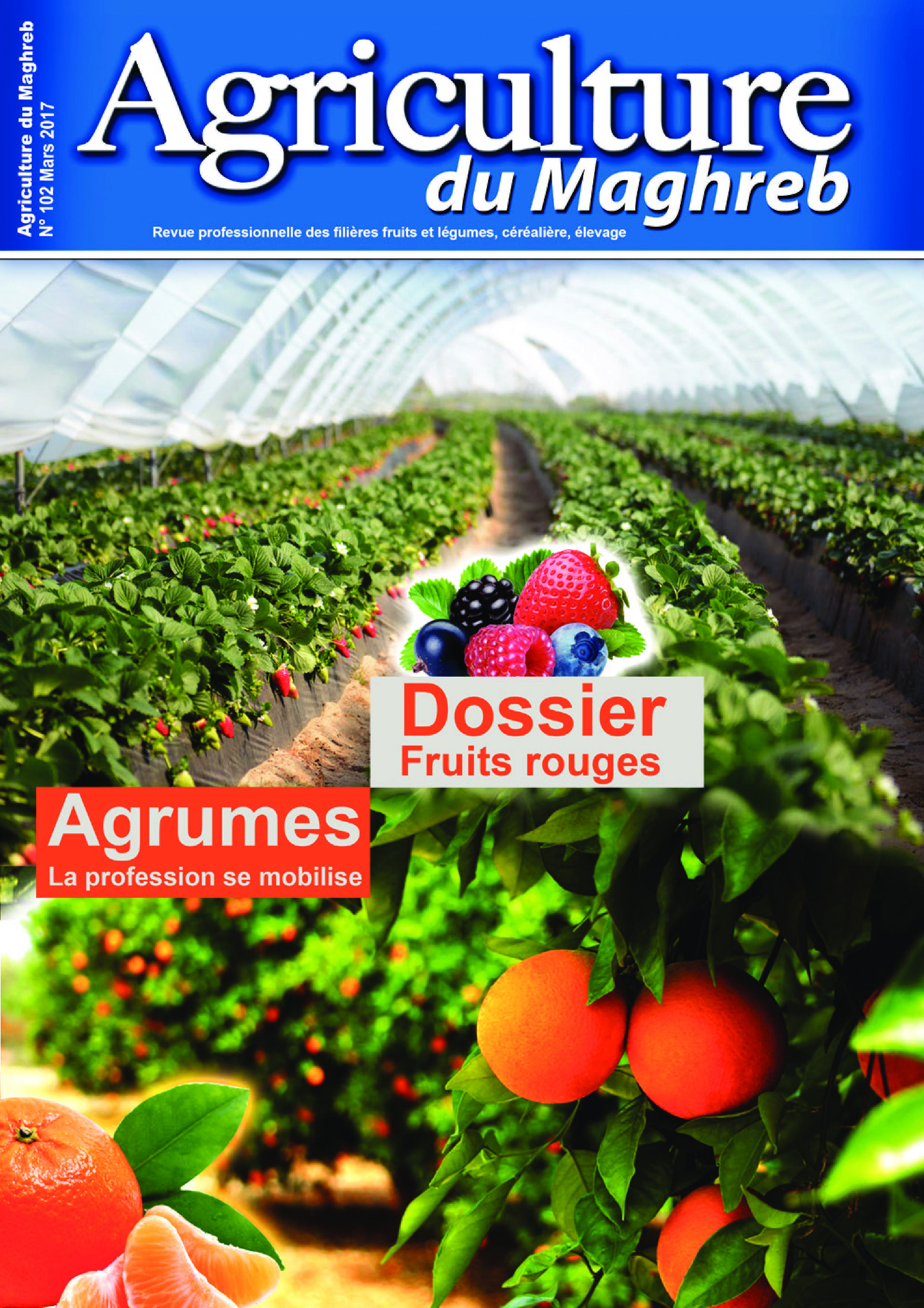 Agriculture du maghreb N° 102 Mars 2017