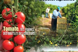 Agriculture du maghreb N° 76 Juin2014