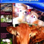 Agriculture du maghreb N° 89 Novembre 2015