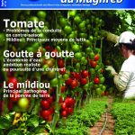 Agriculture du maghreb N° 91 Déc. 15/Jan. 16
