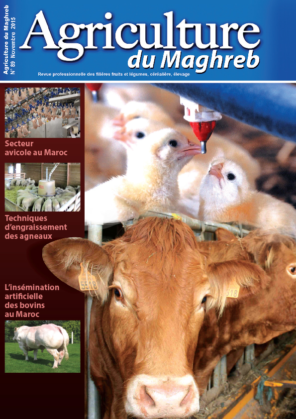 Agriculture de Maghreb N°89 Novembre 2015