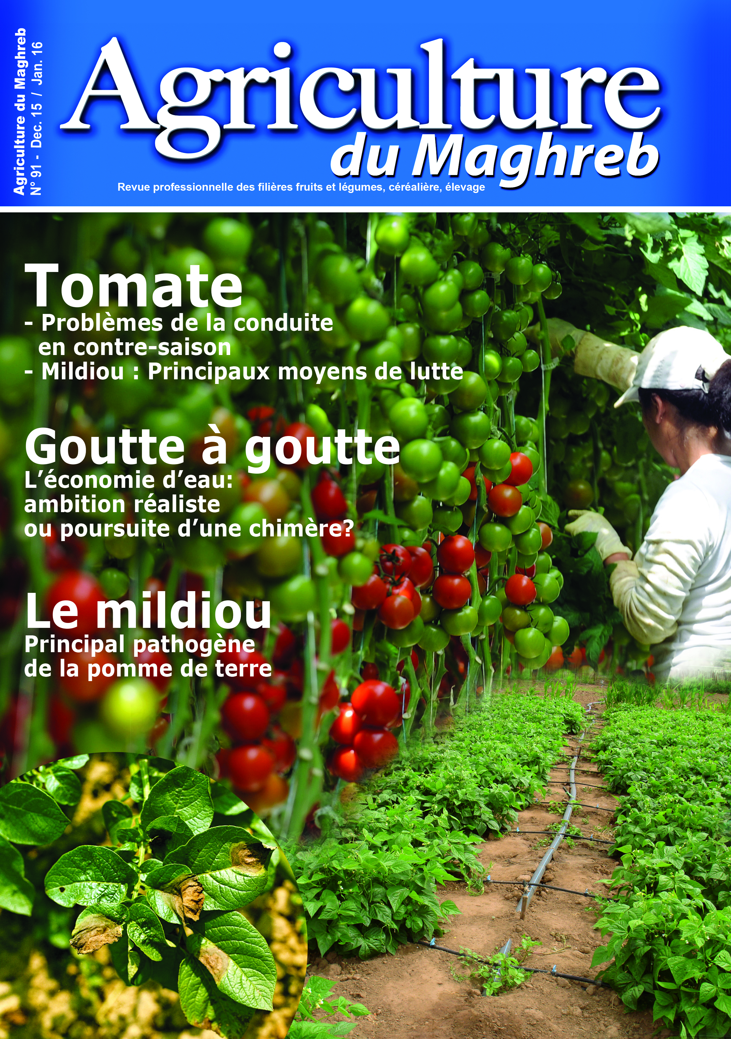 Agriculture de Maghreb N°91 Déc 2015/ Janvier 2016