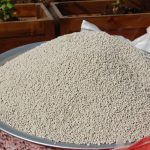 Céréales : Fertilisation potassique blé tendre (Zaer)