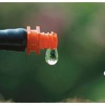 Irrigation : Goutte à goutte et économie d’eau