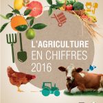 L’agriculture marocaine en chiffres – 2016