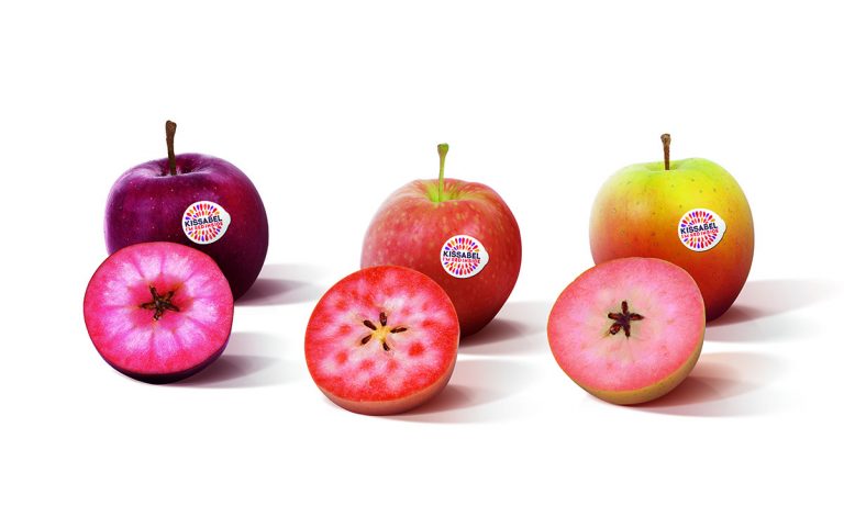 Étonnante gamme de pommes à chair colorée