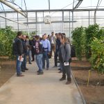 Visite des installations de Yuksel Seeds à Antalya
