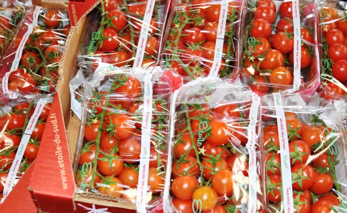 Les importations espagnoles de fruits et légumes en provenance du Maroc se stabilisent