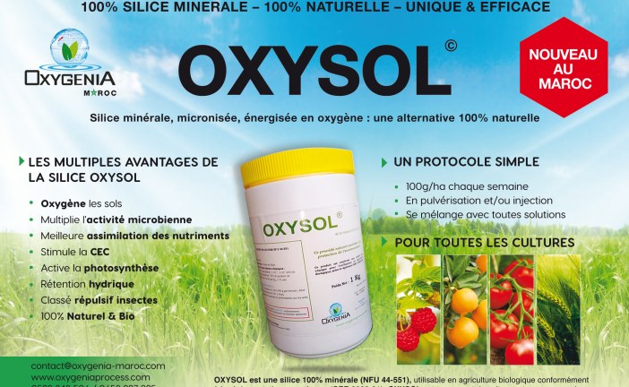 Oxysol : une application bénéfique pour la plante et l’environnement