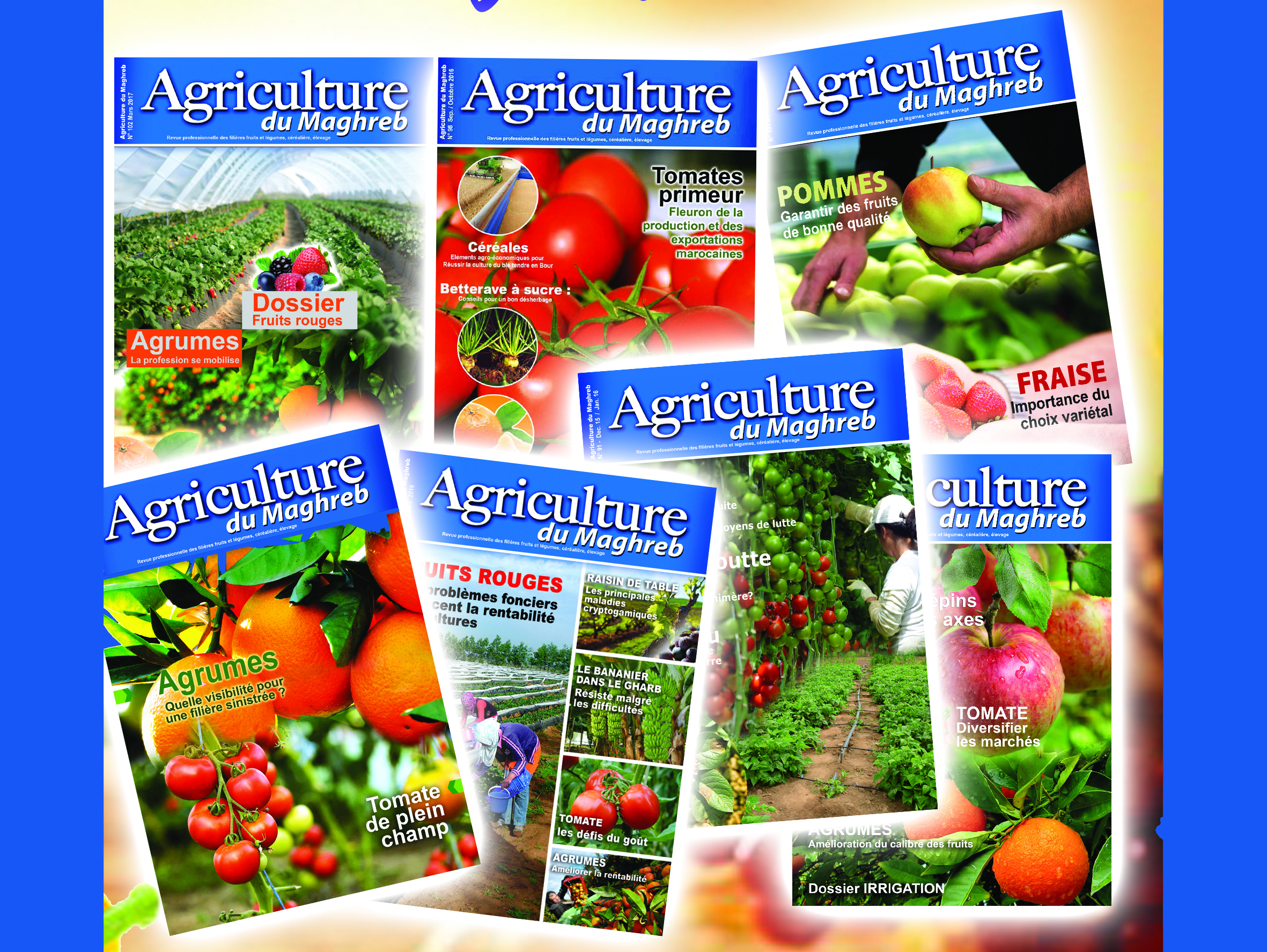 Accès gratuit aux numéros d’Agriculture du Maghreb