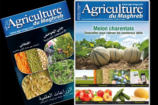 Le numéro d’octobre d’Agriculture du Maghreb est en ligne