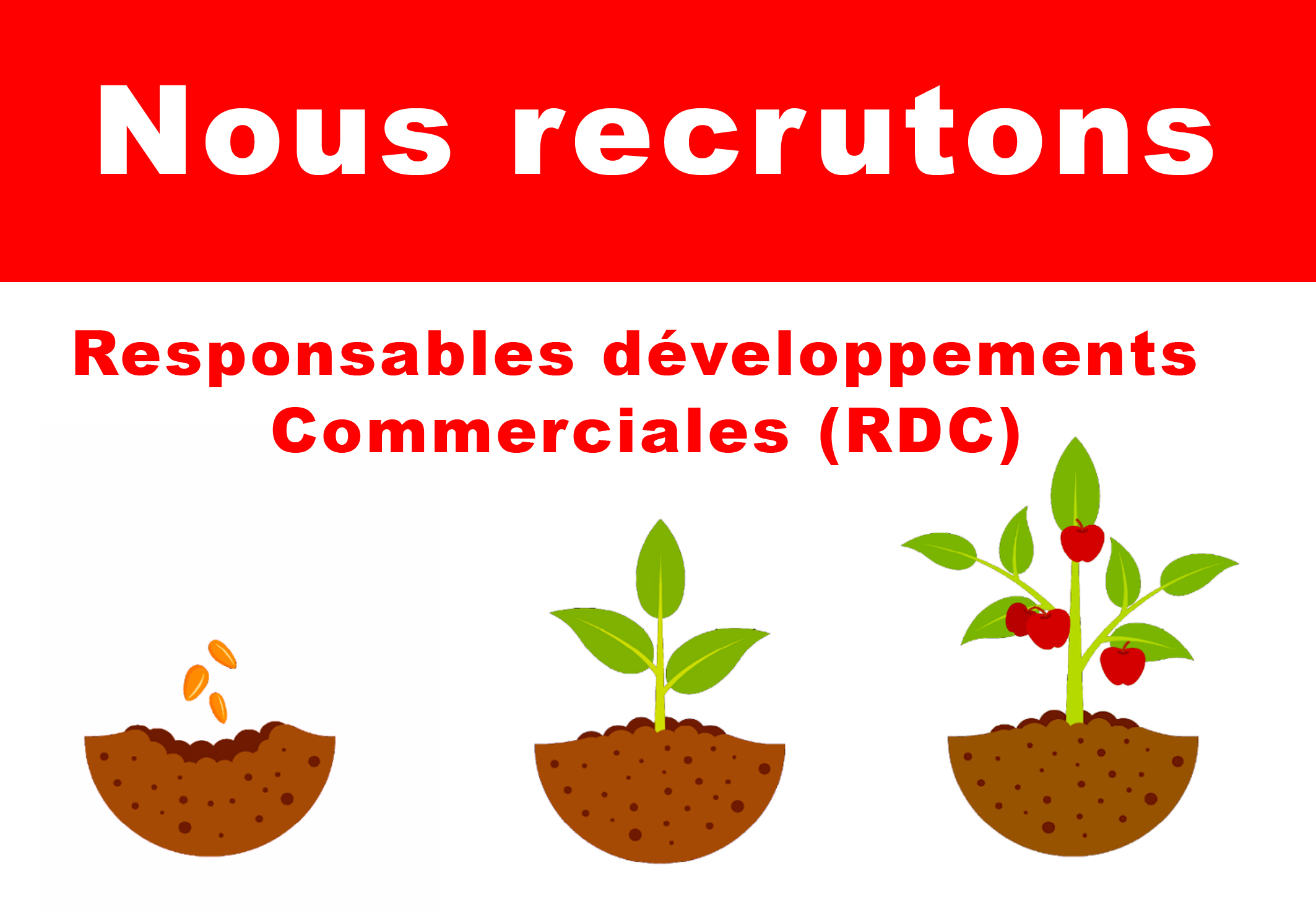 Société recrute: Responsables développements Commerciales (RDC)