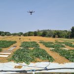 Applications des Technologies Digitales pour la Gestion de l’Irrigation