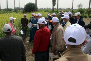 L’INRA communique sur ses nouvelles obtentions végétales au profit des agriculteurs
