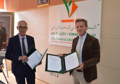 communiqué de presse partenariat inra syngenta ragriculture du maghreb-5ss
