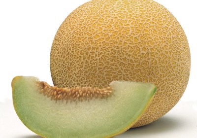 Melon close-up
