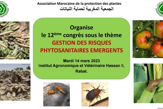 12ème congrès de l’Association Marocaine de Protection des Plantes (AMPP)