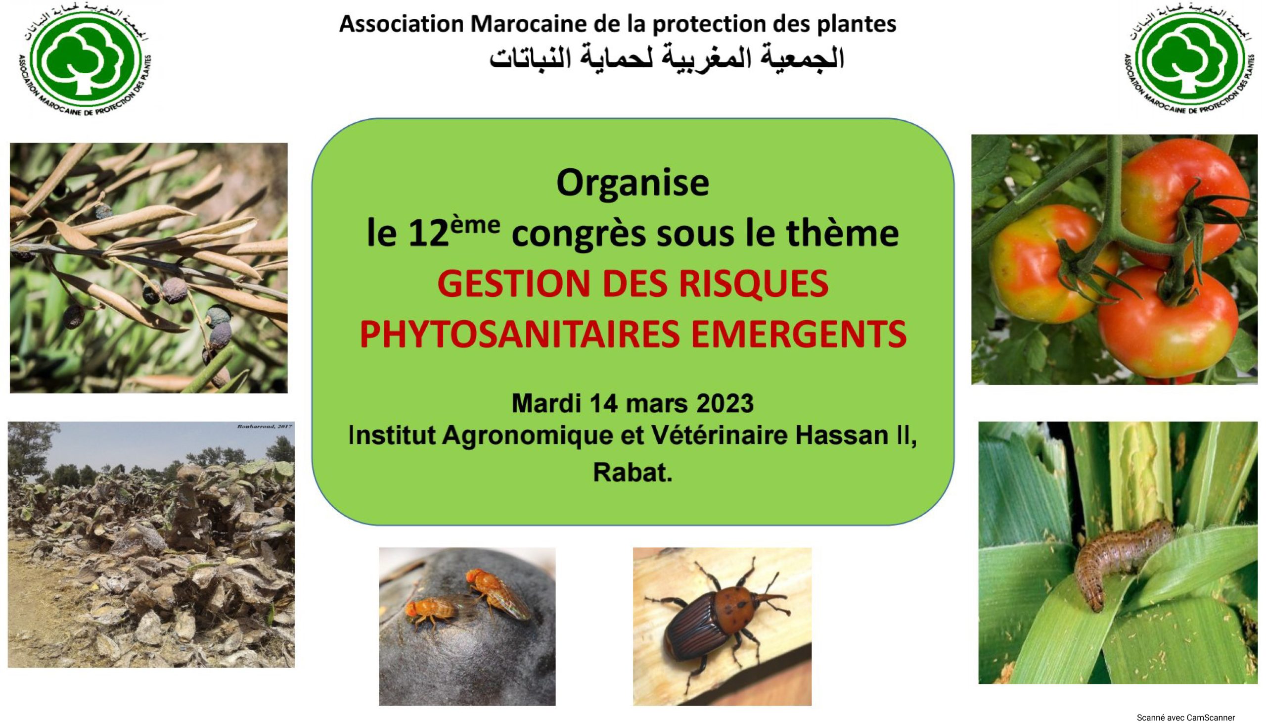 12ème congrès de l’Association Marocaine de Protection des Plantes (AMPP)
