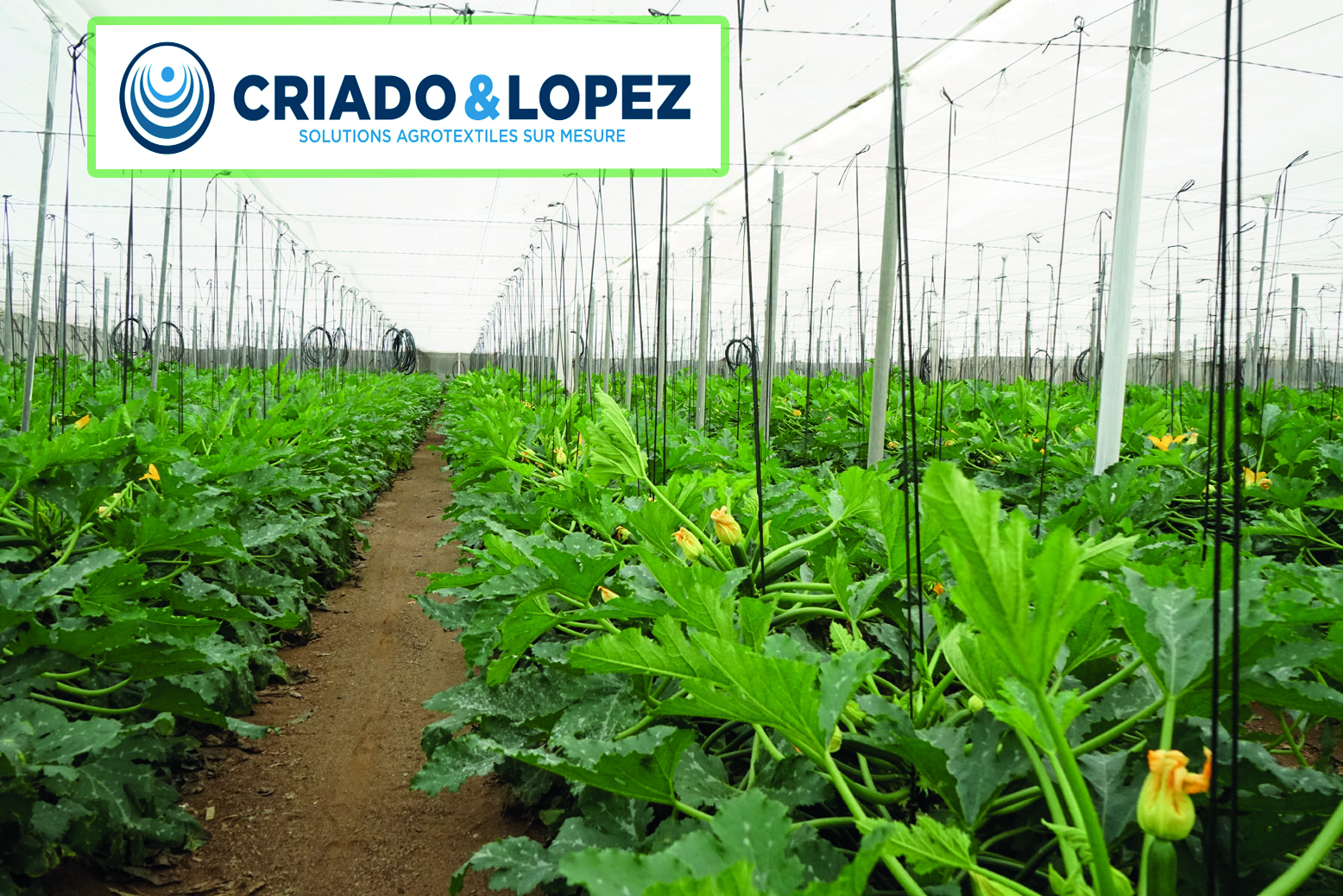 Criado y López, leader dans la fabrication des filets agricoles