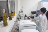 Une formation pionnière au Maroc sur la qualité et la sécurité sanitaire des produits oléicoles