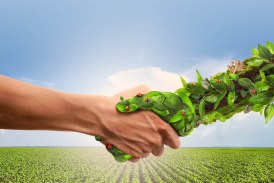 Les Biopesticides, compléments et alternatives aux pesticides conventionnels