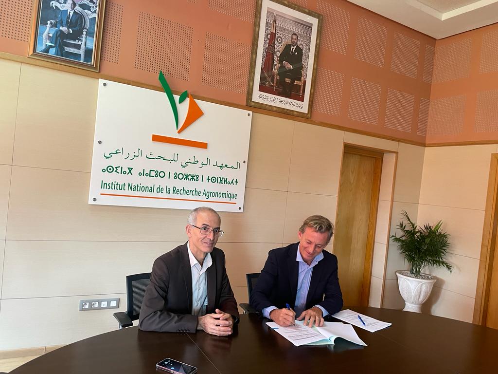 Partenariat Syngenta Maroc et INRA en matière de protection de semences de blé