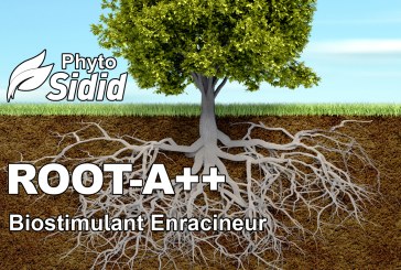 ROOT-A++ Biostimuant Enracineur de nouvelle génération