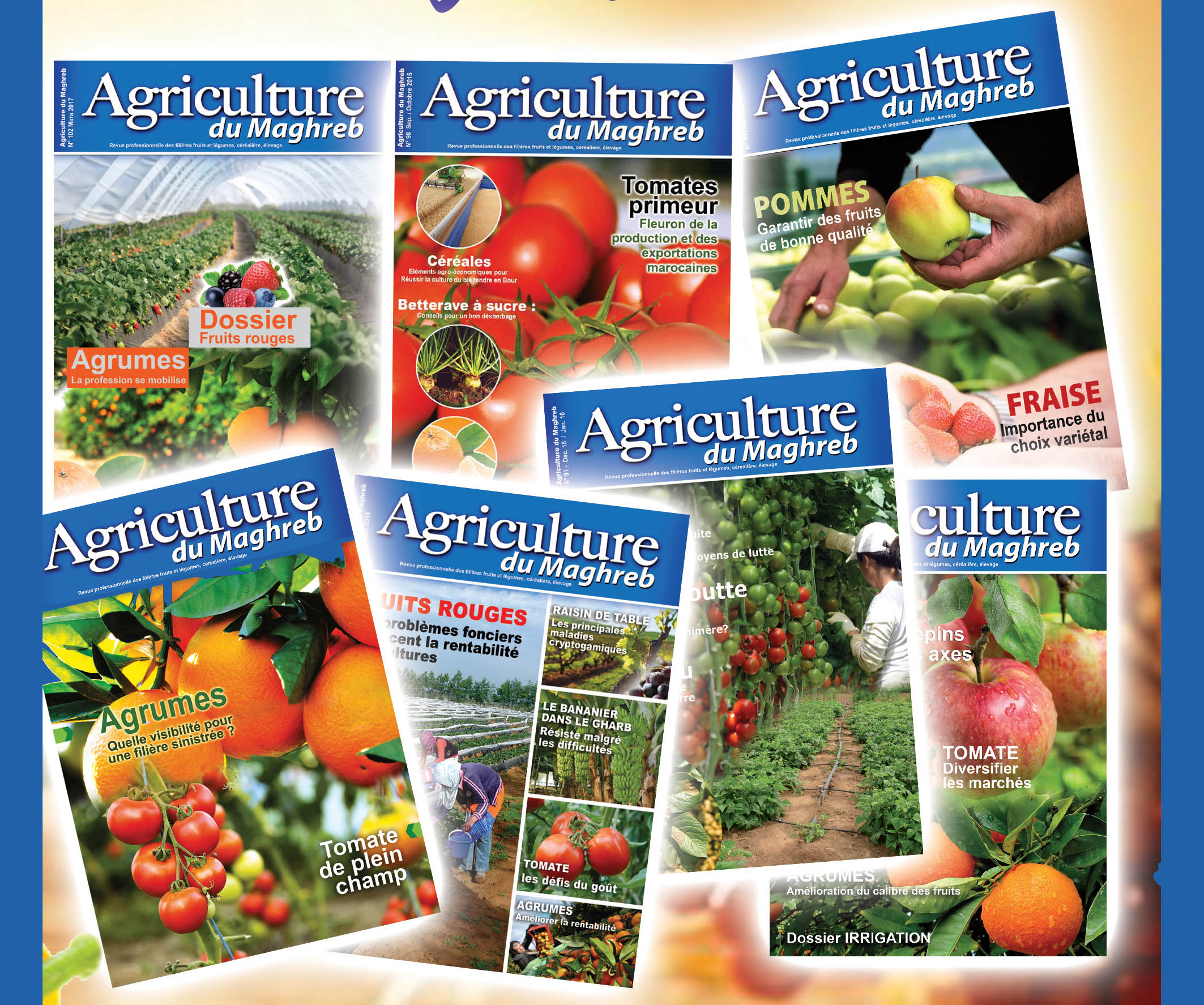 affiches 70×190 cm (2)