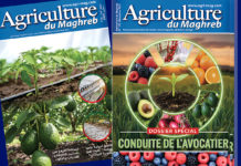 Agriculture du Maghreb 172 : IA, Avocatier et Fruits Rouges