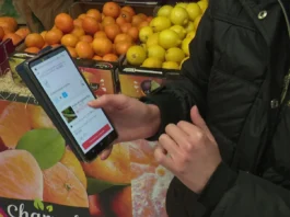 استراتيجيات التسويق المباشر، البيع في الأسواق المحلية، والمنصات الرقمية لضمان أفضل الأسعار للمزارعين استراتيجيات التسويق المباشر