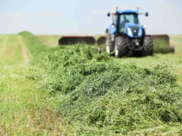 زراعة البرسيم : تكييف التقنية مع منطقة الإنتاج زراعة البرسيم