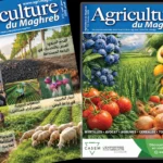 Le numéro de férvier 2026 est en lign. Bonne lecture !