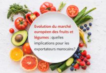 Le marché européen des fruits et légumes : quelles implications pour les exportateurs marocains ?