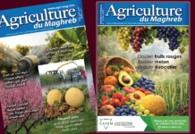 Le numéro de Mars 2026 est en ligne. Bonne lecture ! Le numéro de Mars 2026 est en ligne