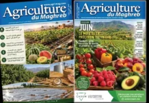 Le numéro de juillet-août 2026 d’Agriculture du Maghreb est en ligne numéro de juillet