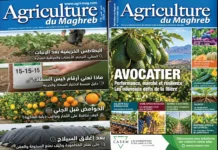 Le numéro d’octobre 2026 est en ligne numéro d'octobre