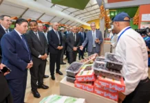 Dattes marocaines : une production record attendue ! Dattes marocaines